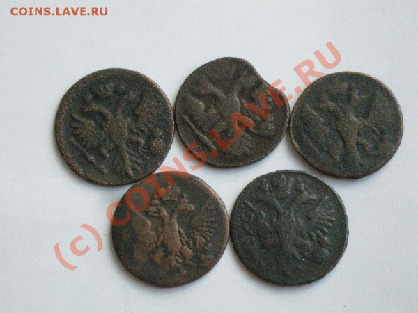 Денга 1731-53, 5шт, с рубля до 24.05.10 22-00 мск - DSCN3088.JPG