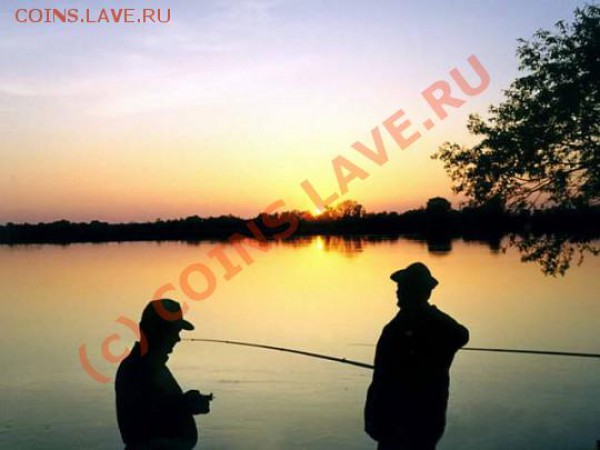 Закажи фотографию!!! - foto-540x405