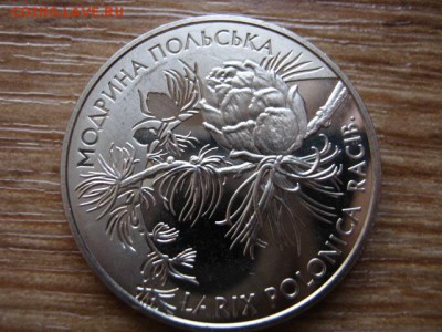...Украина 2 гривны 2001 Модрина  до 21.01.15 в 23.45 М - IMG_9882