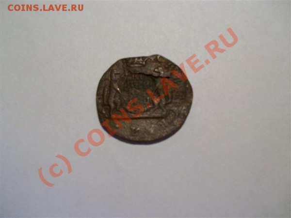 Копейка Сибирская 177? г-до09.01.2009г - 100_0489