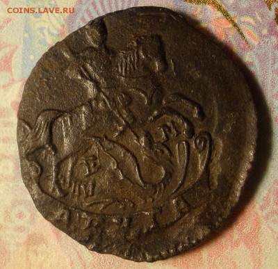 денгв 1794 ЕМ - оценка - денга794а.JPG