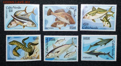 Марки. Рыбы. Кабо-Верде чистые до 25.01.15 - рыбы Кабо-Верде_1