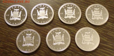 ЗАМБИЯ - набор ЖИВОТНЫЕ 7 шт. 2014 шикарный 27.01, 22.00 - Замбия - набор животные 7 шт..1