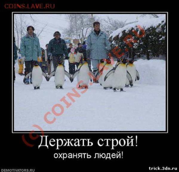 Закажи фотографию!!! - 14