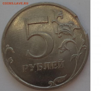 5р 2011г - выкус. - 5р 11.JPG