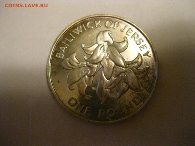 ДЖЕРСИ,1 фунт 1972г(сереб.свадьба Елизаветы)!до 25.01.2015 - IMG_1449.JPG
