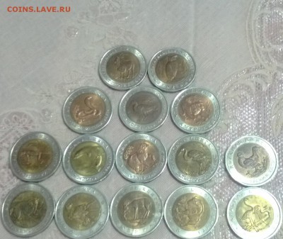 набор кк 1991-1994 до 27.01.15 - WP_20150123_006