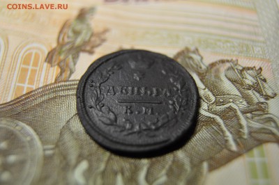 деньга 1816 КМ АМ до 29 января - DSC_0312.JPG