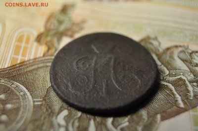 деньга 1799 КМ до 29 января - DSC_0348.JPG