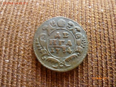 ДЕНЬГА 1734 ГОДА - P1110453.JPG
