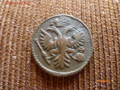 ДЕНЬГА 1734 ГОДА - P1110455.JPG