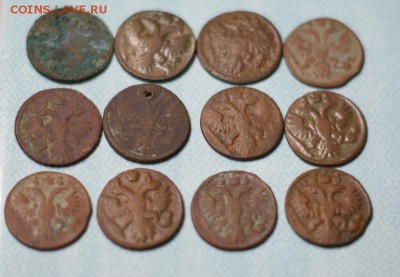 12 полушек до 29.01.2015 - DSC02577.JPG