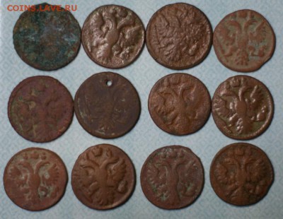 12 полушек до 29.01.2015 - DSC02576.JPG