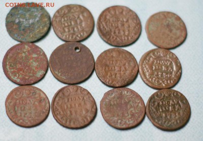 12 полушек до 29.01.2015 - DSC02574.JPG