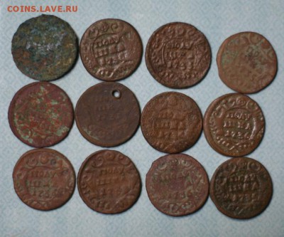 12 полушек до 29.01.2015 - DSC02571.JPG