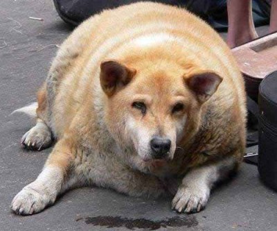 Прикол - blue-050126-132529-big