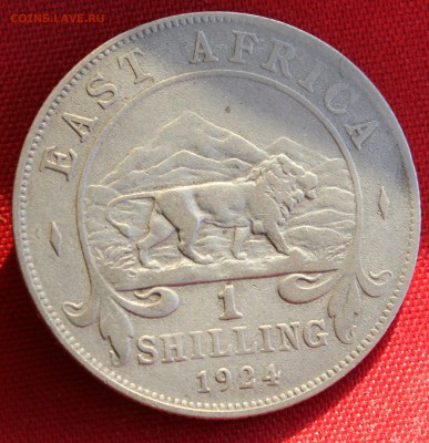 С 1 руб. БРИТ.ВОСТ.АФРИКА 1 шиллинг 1924г. ЛЕВ до 30.01.15г - IMG_3346.JPG