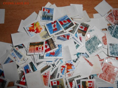 Марки КАНАДА и ВЕЛИКОБРИТАНИЯ, оптовый лот, более 600 шт - DSCN5370.JPG