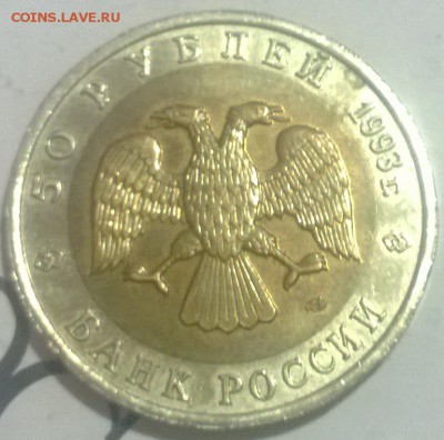 кк 1993 год гималайский медведь до 29.01.15 - WP_20150125_011