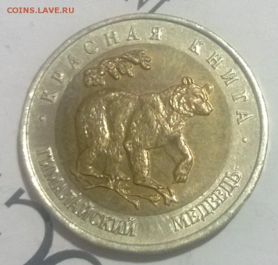 кк 1993 год гималайский медведь до 29.01.15 - WP_20150125_010