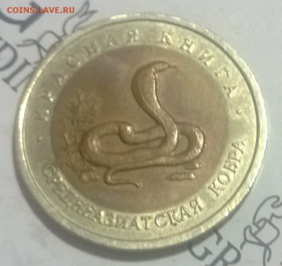 кк 1992 год среднеазиатская кобра до 29.01.15 - WP_20150125_020