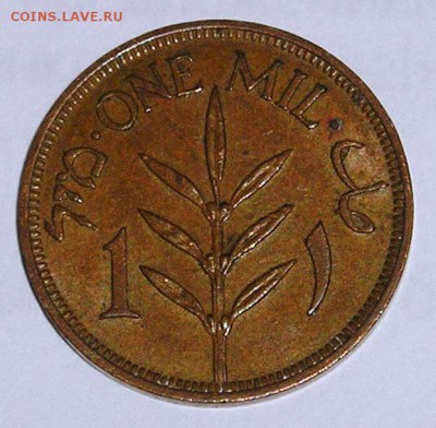 Палестина, 1 Мил 1942 (27.01) - P1019725.JPG