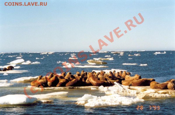 Закажи фотографию!!! - Море