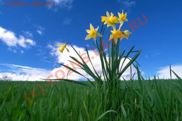 --- Jaroslaff --- 5:0 --- - SUMMER.JPG