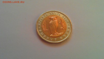 Красная книга 1991 2шт. 31.01.15г. 21-00 мск - IMAG1443