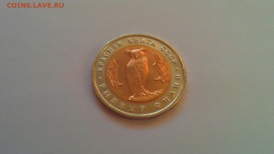 Красная книга 1991 2шт. 31.01.15г. 21-00 мск - IMAG1442
