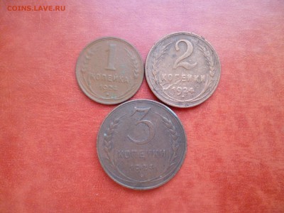 1, 2, 3 копейки 1924 (№3), до 29.01 в 22-10 - 1, 2, 3 копейки 1924 (3)a.JPG