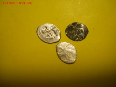 3 чешуи с птичками до 30.01.15  22.00 моск - DSCN0433 (640x480)