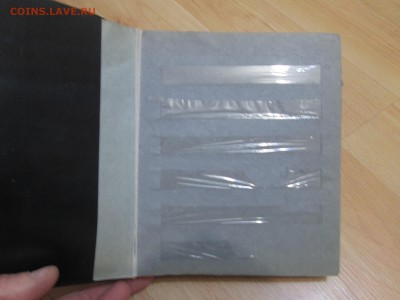 у - IMG_3870.JPG