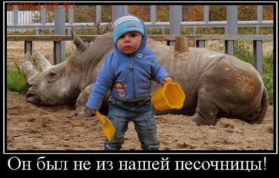 Что будет дальше с нашим "деревянным" (рублем)? - image