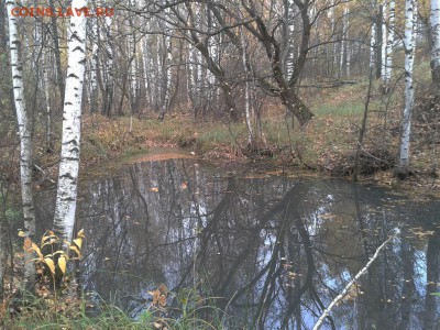 Покопушки от Русланыча . - 2639984