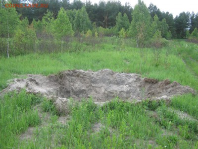 Путешествия по Смоленской земле.Тема пополняемая.С уважением - природа июнь 2014 001.JPG