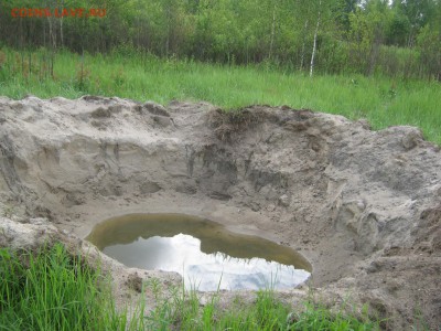 Путешествия по Смоленской земле.Тема пополняемая.С уважением - природа июнь 2014 003.JPG