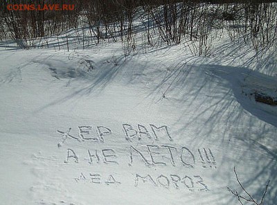 Вопросом на вопрос! - 123
