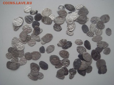 Чешуя. 99 шт. - DSC05613.JPG