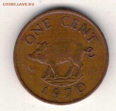 Бермуды цент 1970 Свинья до 02.02.15 в 22.00мск (А673) - 4-б1ц70а