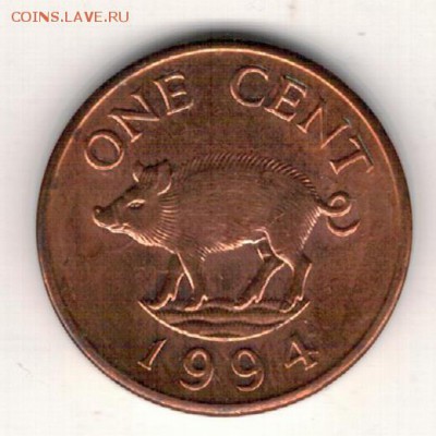 Бермуды цент 1994 Свинья до 02.02.15 в 22.00мск (А673) - 4-б1ц94а