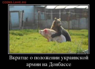 Ну а теперь про Украину - xbb