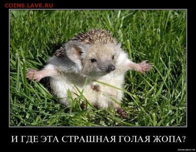 Ну а теперь про Украину - xf4zjej4oe8a