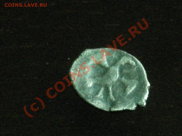 Полушка Федора Ивановича до 28.05.10 22-00 Мск - DSCN3047.JPG