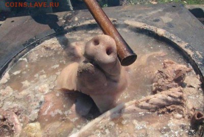 Ну а теперь про Украину - B7p2ZLyCEAAYuCy