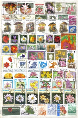 Марки мира Флора до 2.02 22.00мск - Марки мира Флора