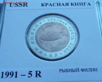 флот, КК, юбилейка, и др. - 2.JPG