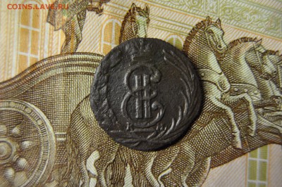 полушка 1769 сибирь до 5 февраля - DSC_0007.JPG