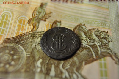 полушка 1769 сибирь до 5 февраля - DSC_0011.JPG