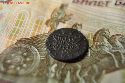 полушка 1779 сибирь до 5 февраля - DSC_0014.JPG